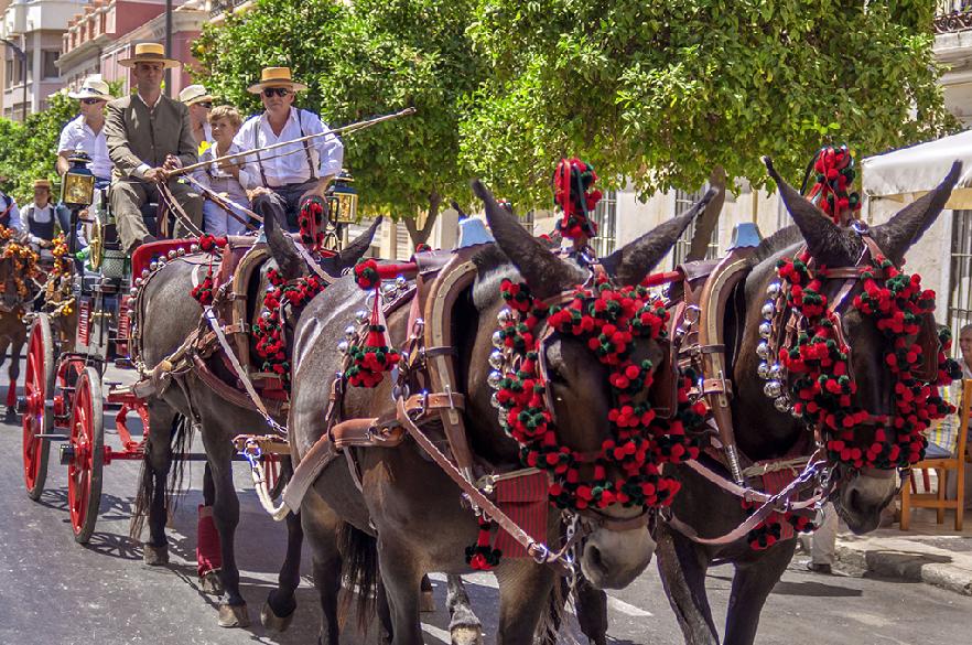 Carruaje decorado en la Feria de Málaga