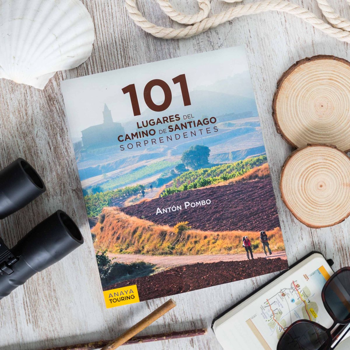 101 Lugares del Camino de Santiago sorprendentes, Anaya Touring