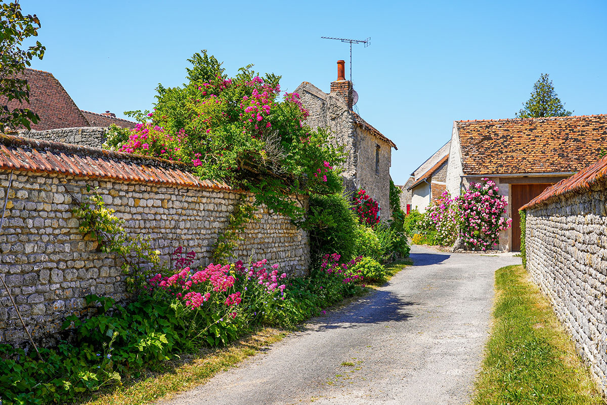 Rosas en las calles de Yèvre le Châtel